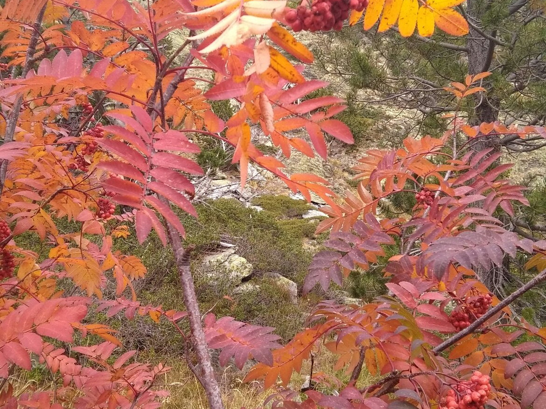 Comapedrosa Highlands Trail-阿林萨尔必去景点