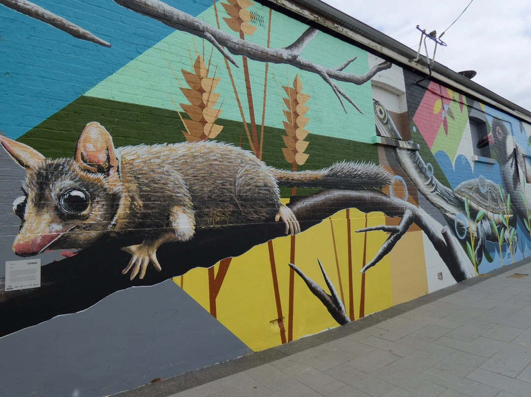 Public Silo Trail-Katanning必去景点