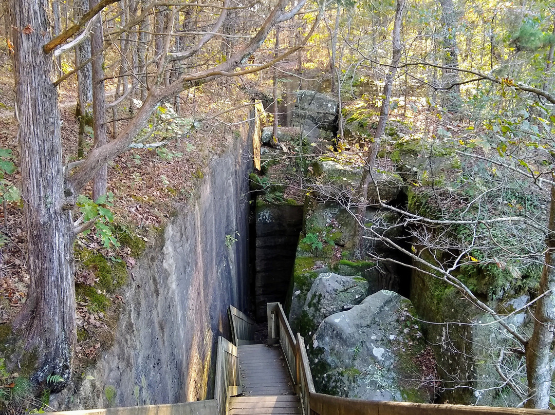 Rim Rock Recreational Area景点图片