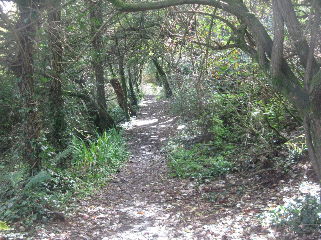 Mousehole to Lamorna Cove Circular Walk景点图片