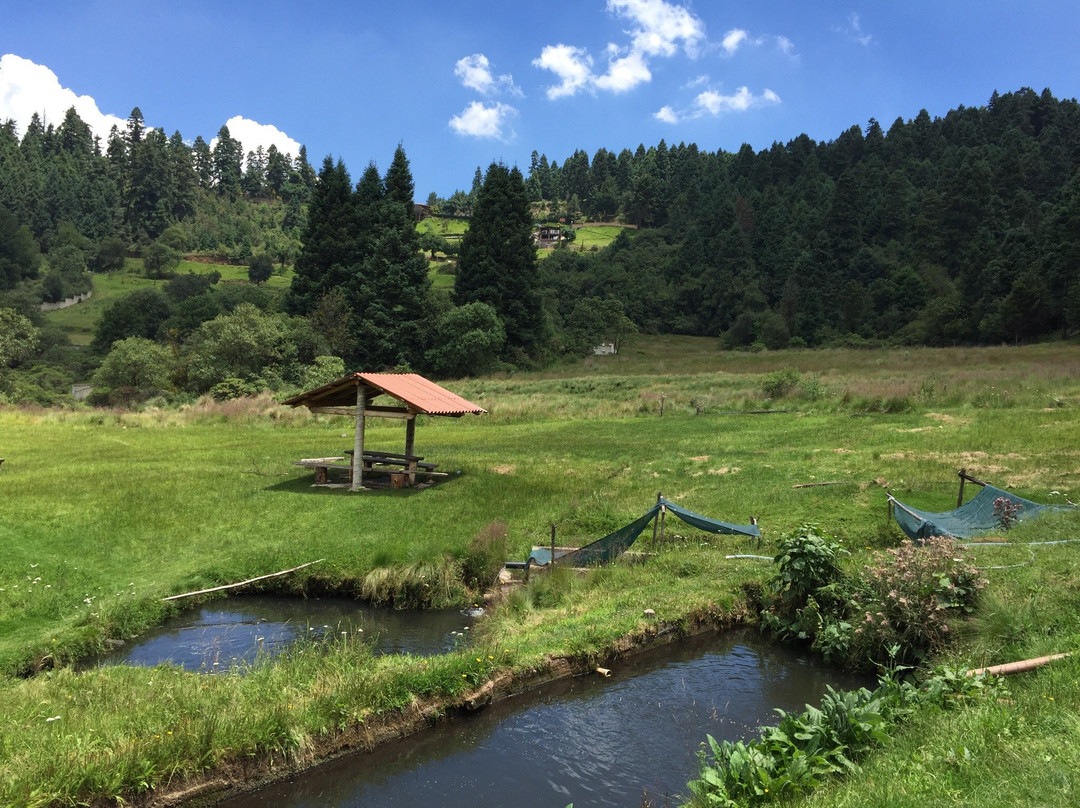 Ocoyoacac旅游景点-Centro Recreativo El Valle del Potrero