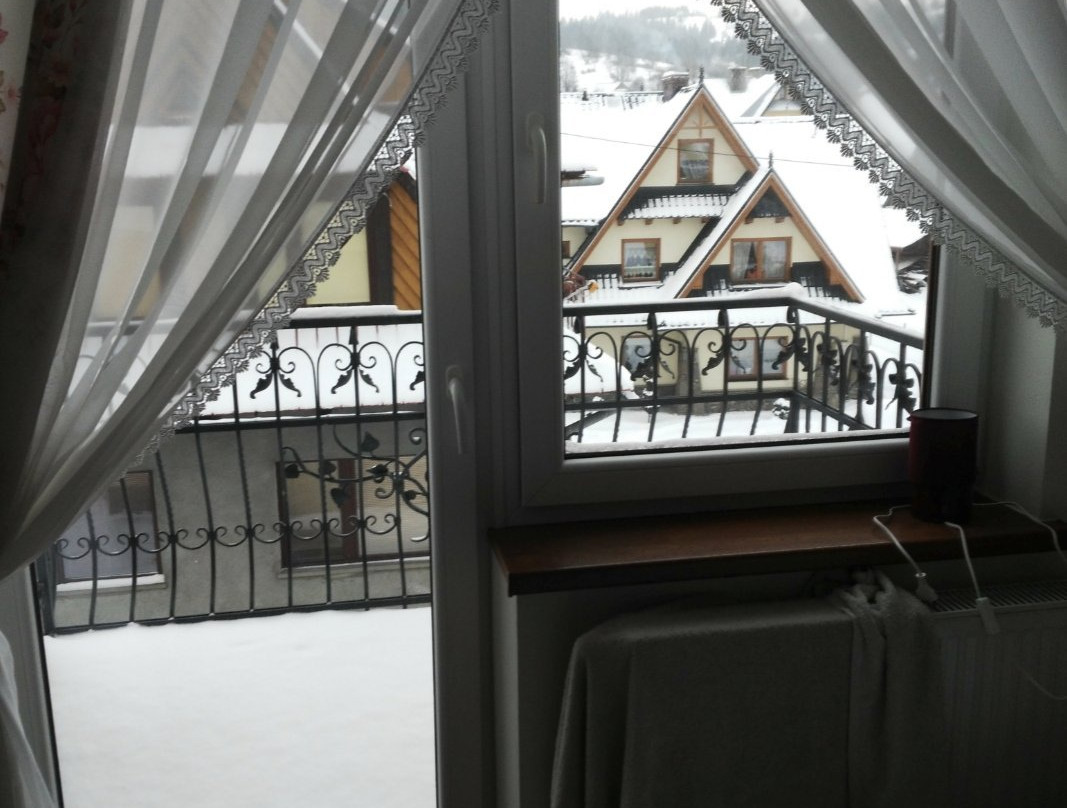 Dunajecki Dworek主图