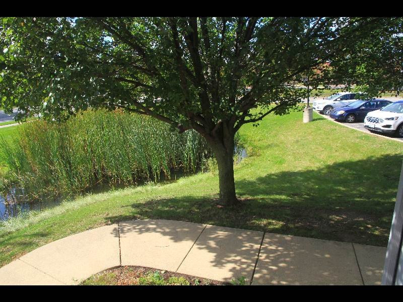 切尔西凯富酒店主图