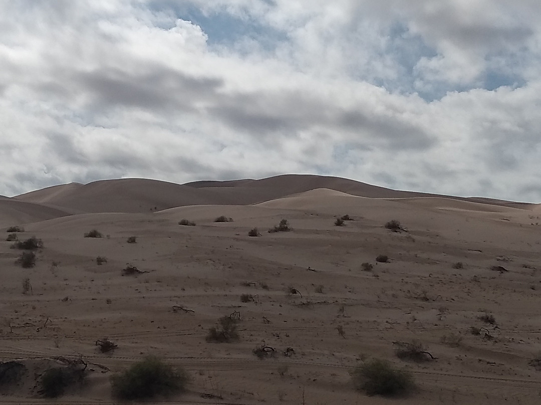 Imperial Sand Dunes-Niland必去景点
