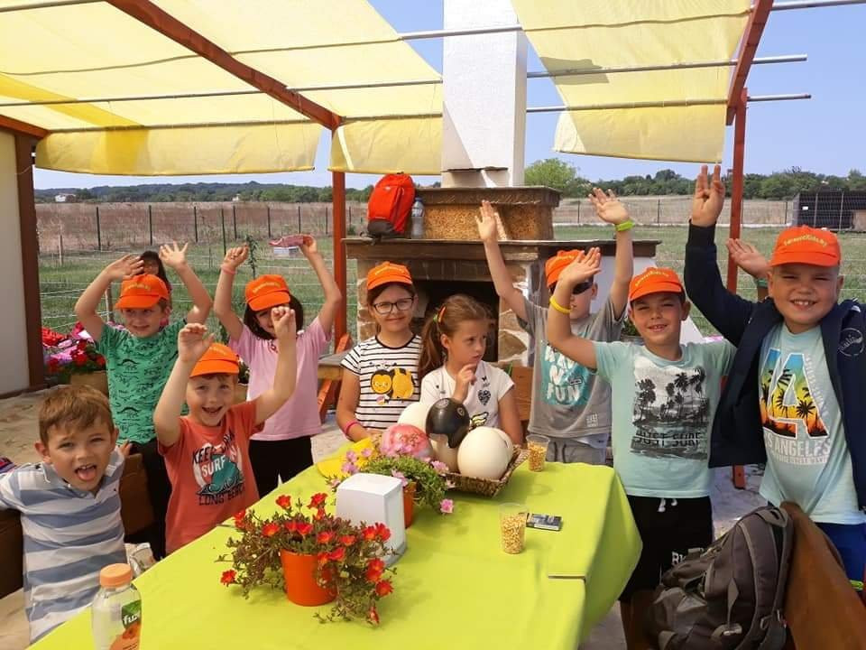 Ostrich Ranch-Ravna Gora必去景点