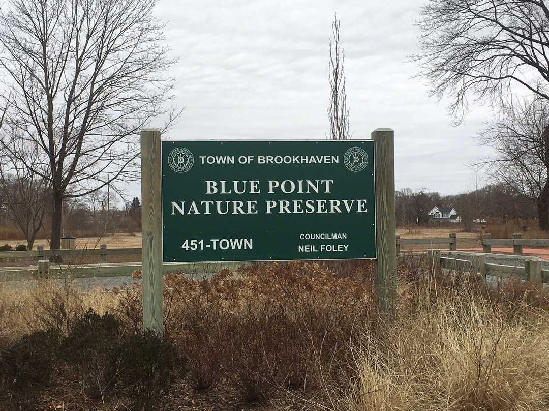 Blue Point Nature Preserve
