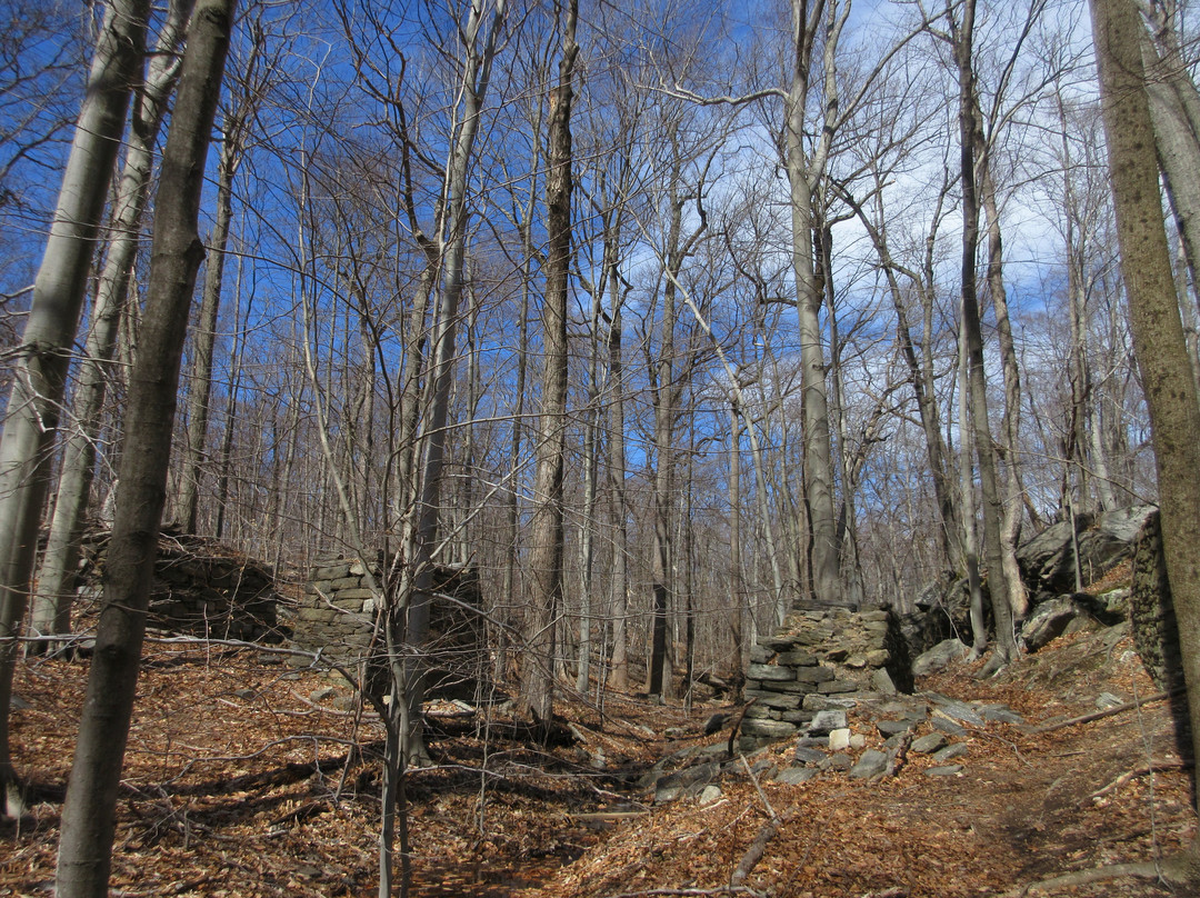 Saxon Woods Park景点图片