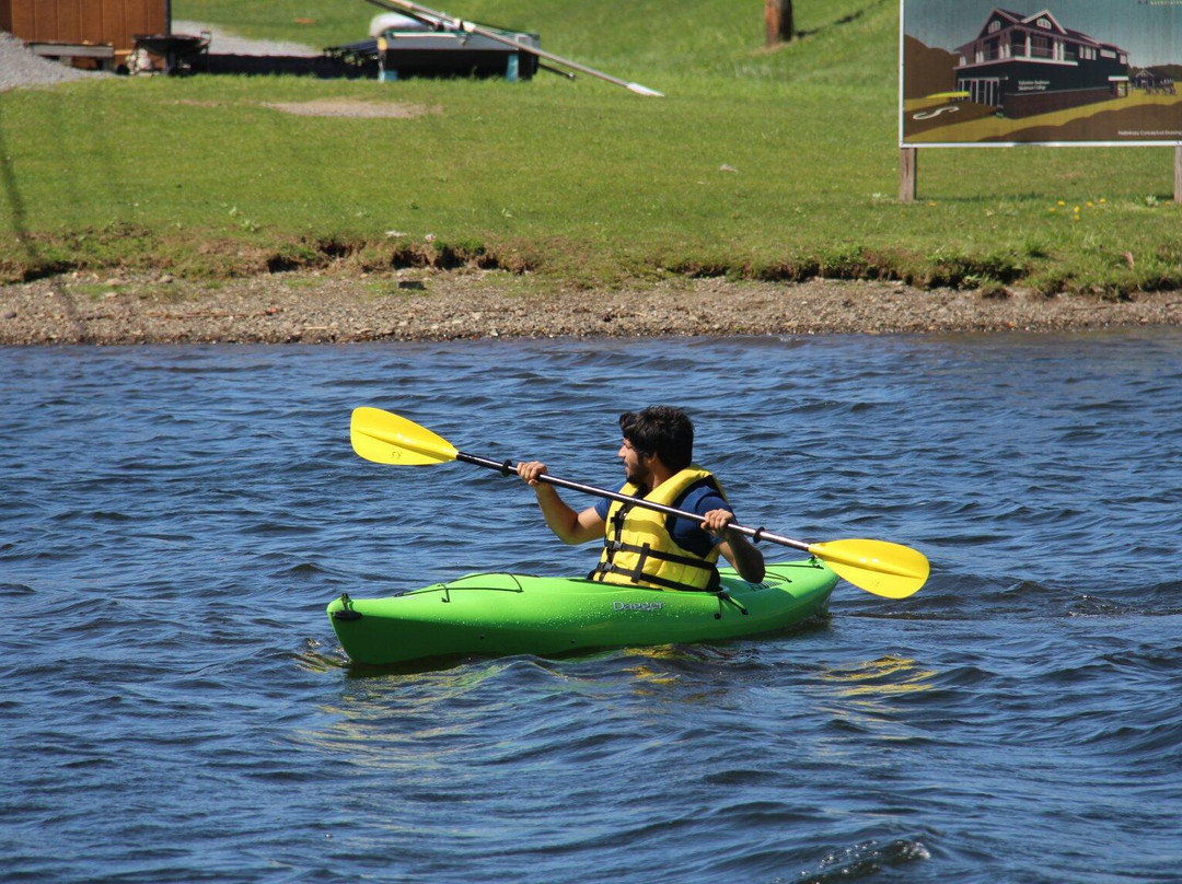 Kayak Shak景点图片