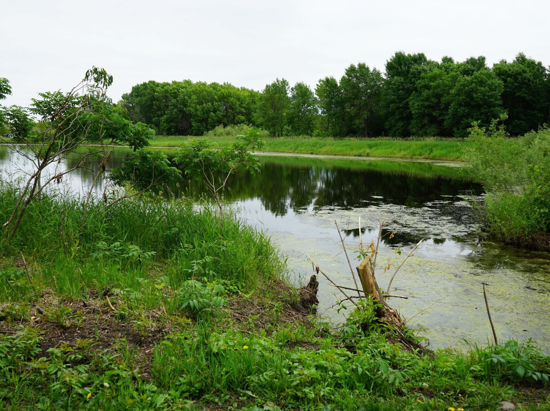 Cleary Lake Regional Park景点图片