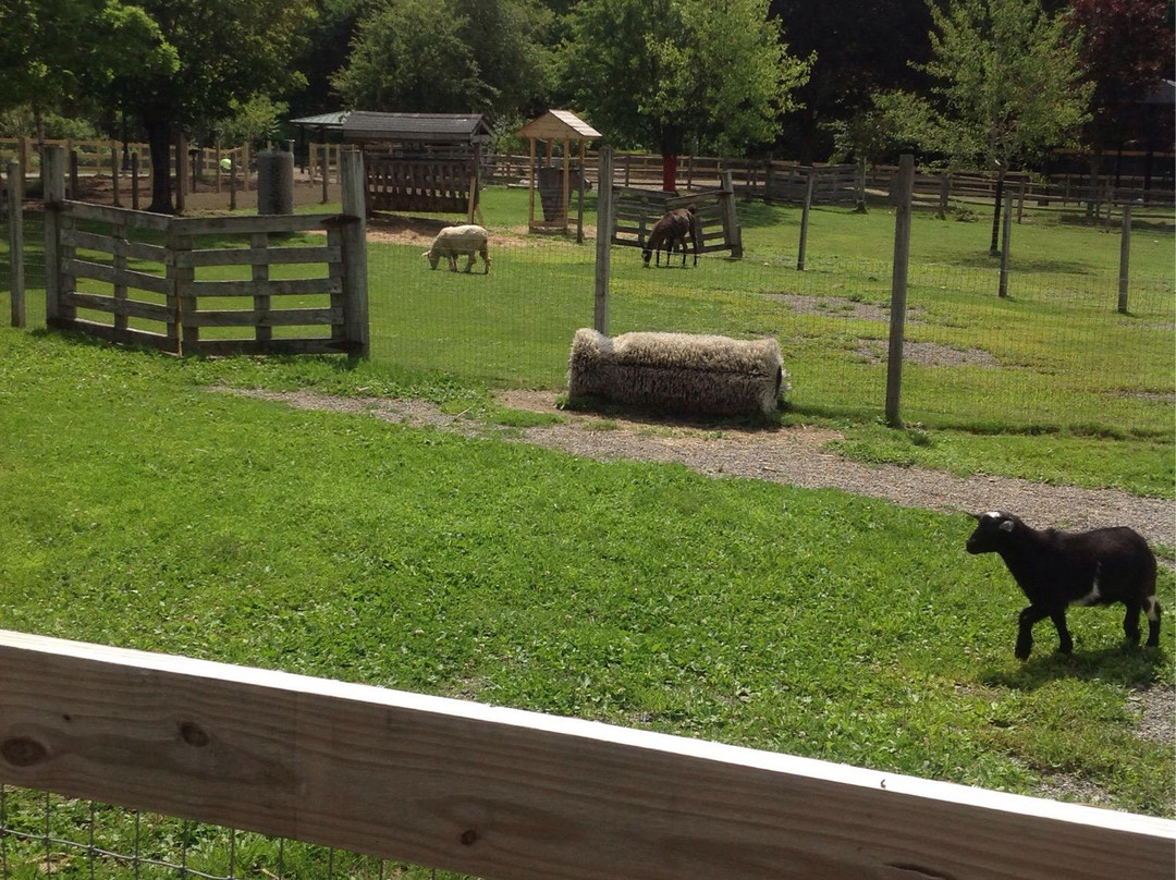 Green Hill Park Farm-伍斯特必去景点