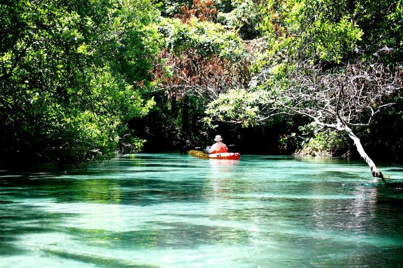 Weeki Wachee Springs State Park景点图片