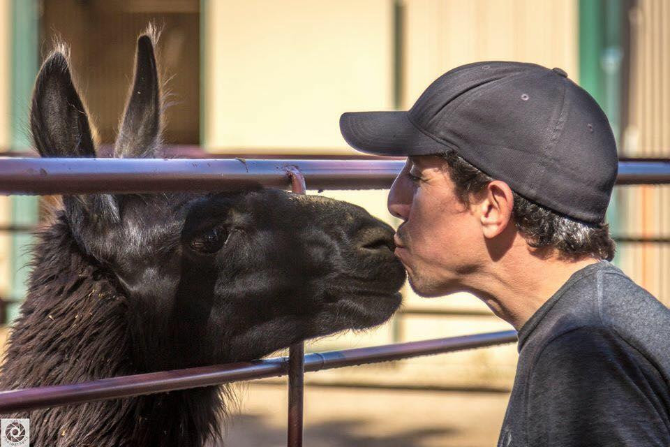 Zippity Boo Pumpkins-拉夫兰必去景点