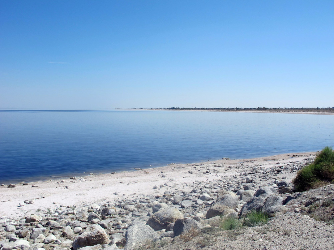 Salton Sea State Recreation Area景点图片
