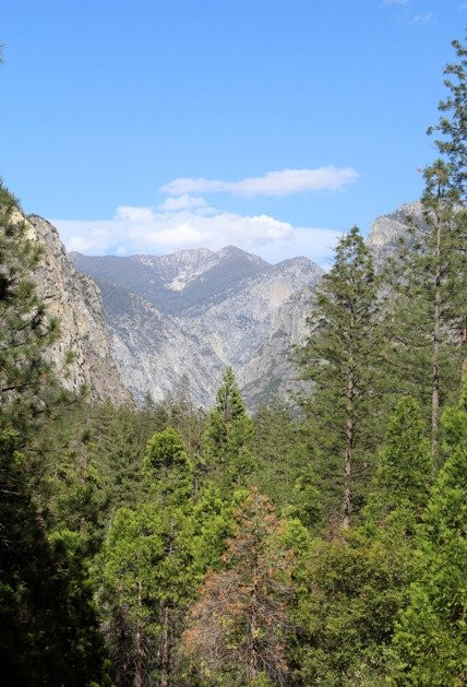 Kings Canyon Panoramic Point景点图片