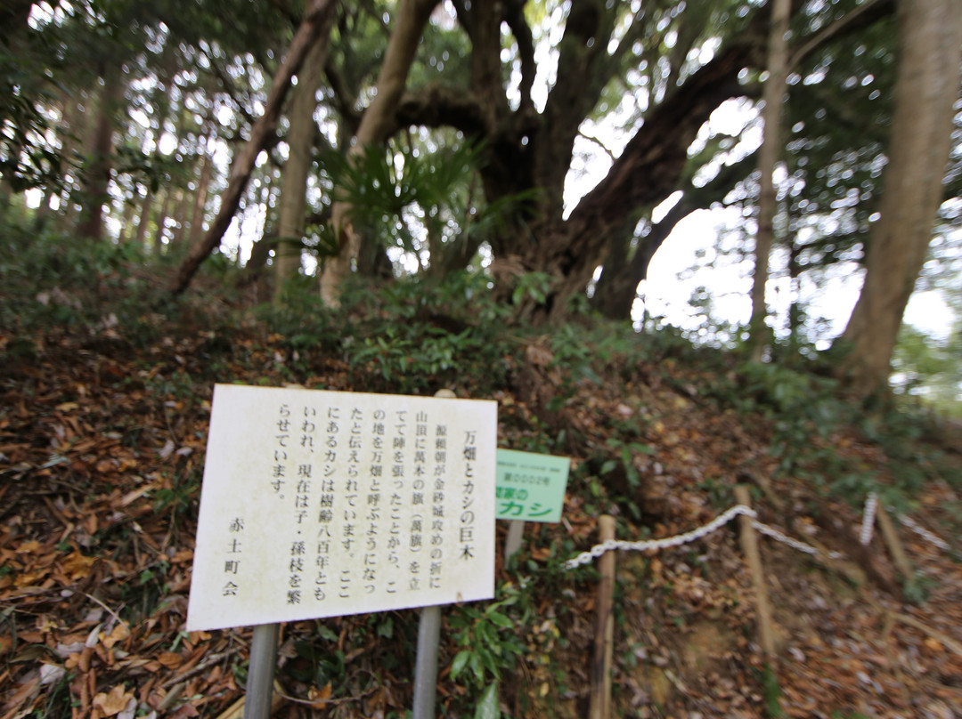 Mambata no Sennenkashi-常陆太田市必去景点