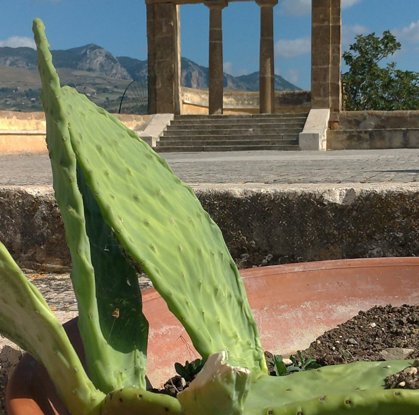 Terrazzo Belvedere o Calvario景点图片