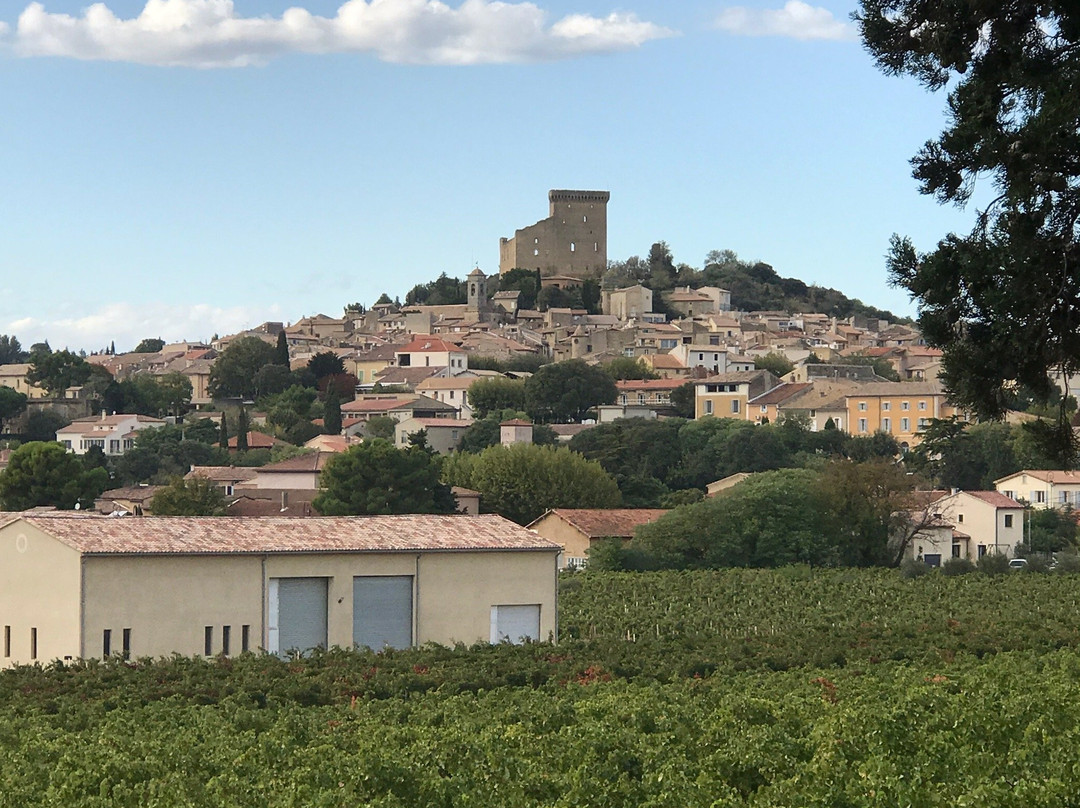 Chateau de Pape Jean XXII景点图片