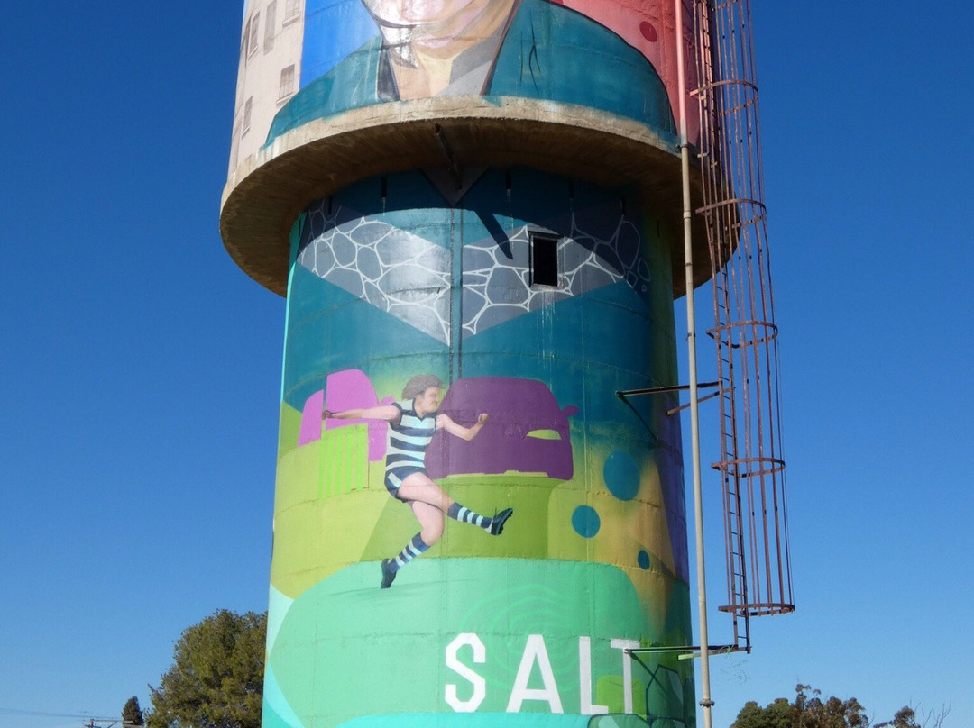 Snowtown Water Tower Art景点图片
