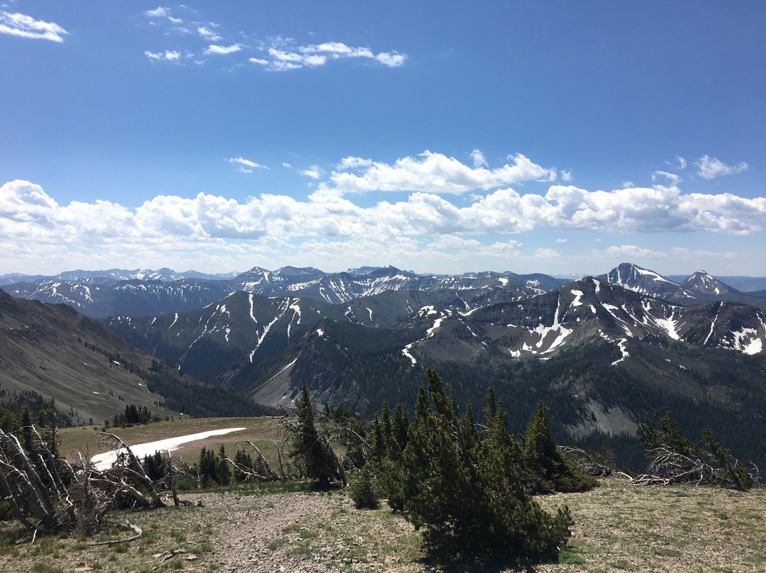 Avalanche Peak Trail景点图片