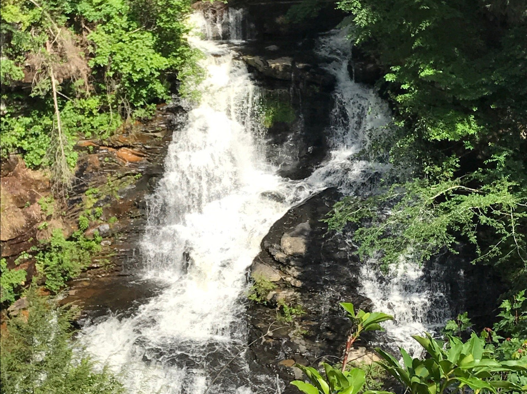 Pisgah Gorge Falls景点图片