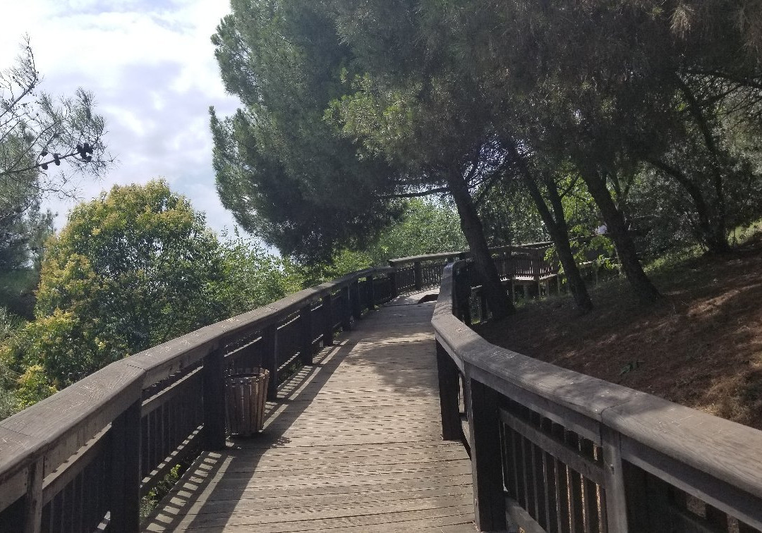 Amisos Mezarları景点图片