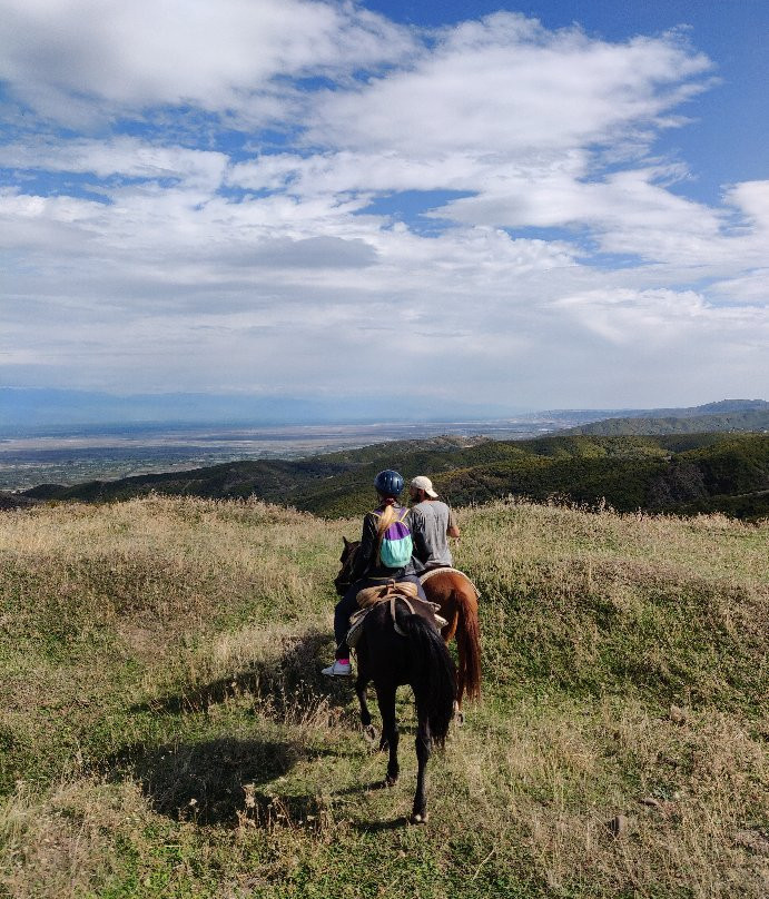 Living Roots Horse Ranch (Lost Ridge Ranch)-西格纳吉必去景点