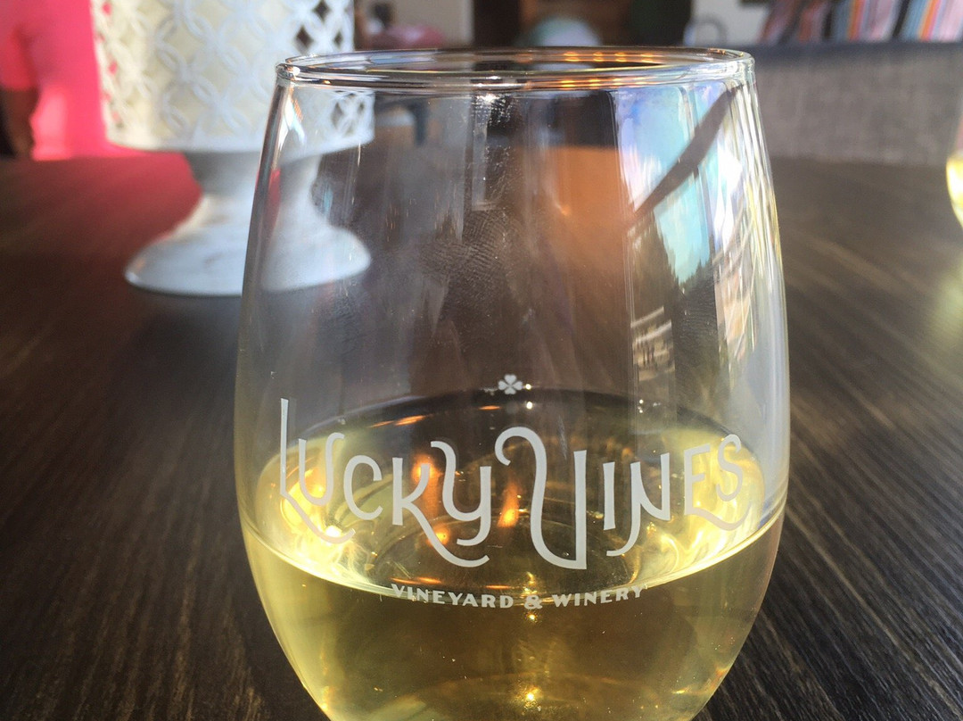 Lucky Vines Vineyard & Winery景点图片