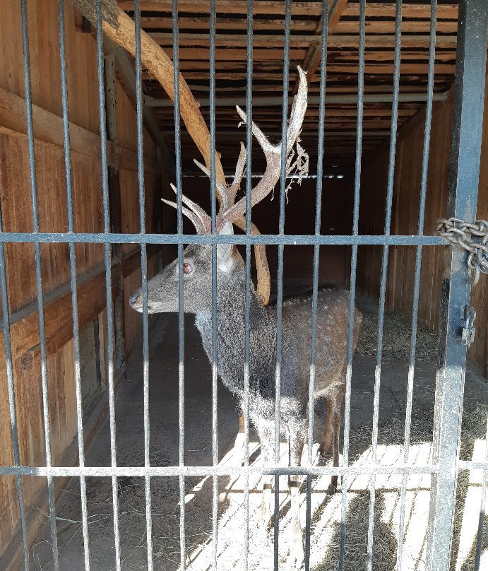 Samara Zoo-萨马拉必去景点