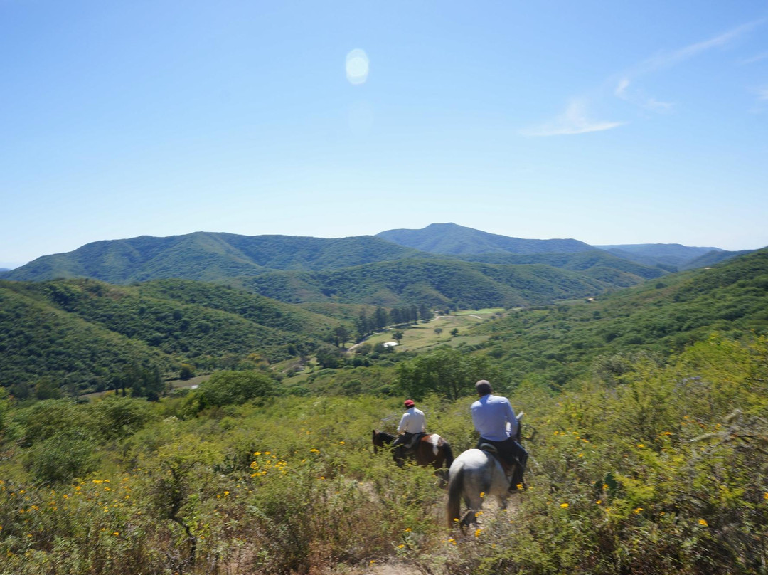 Cabalgatas Gauchas-萨尔塔必去景点