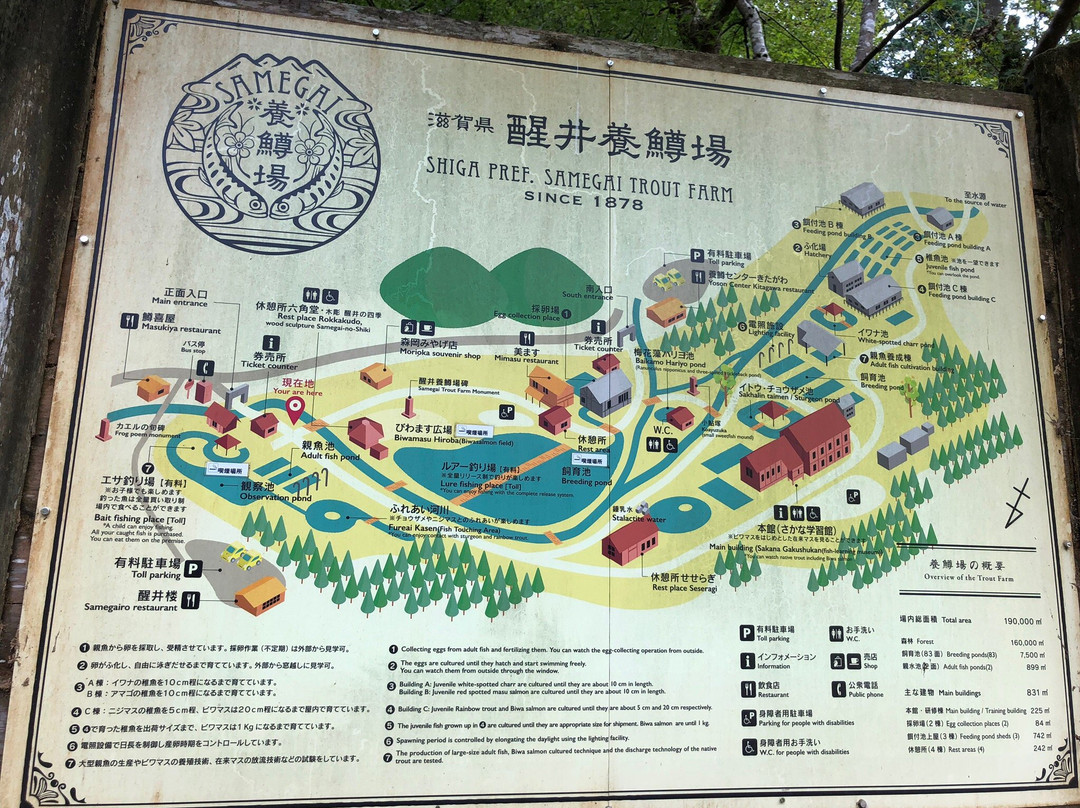 Shiga Prefecture Samegai Yosonjo-米原市必去景点