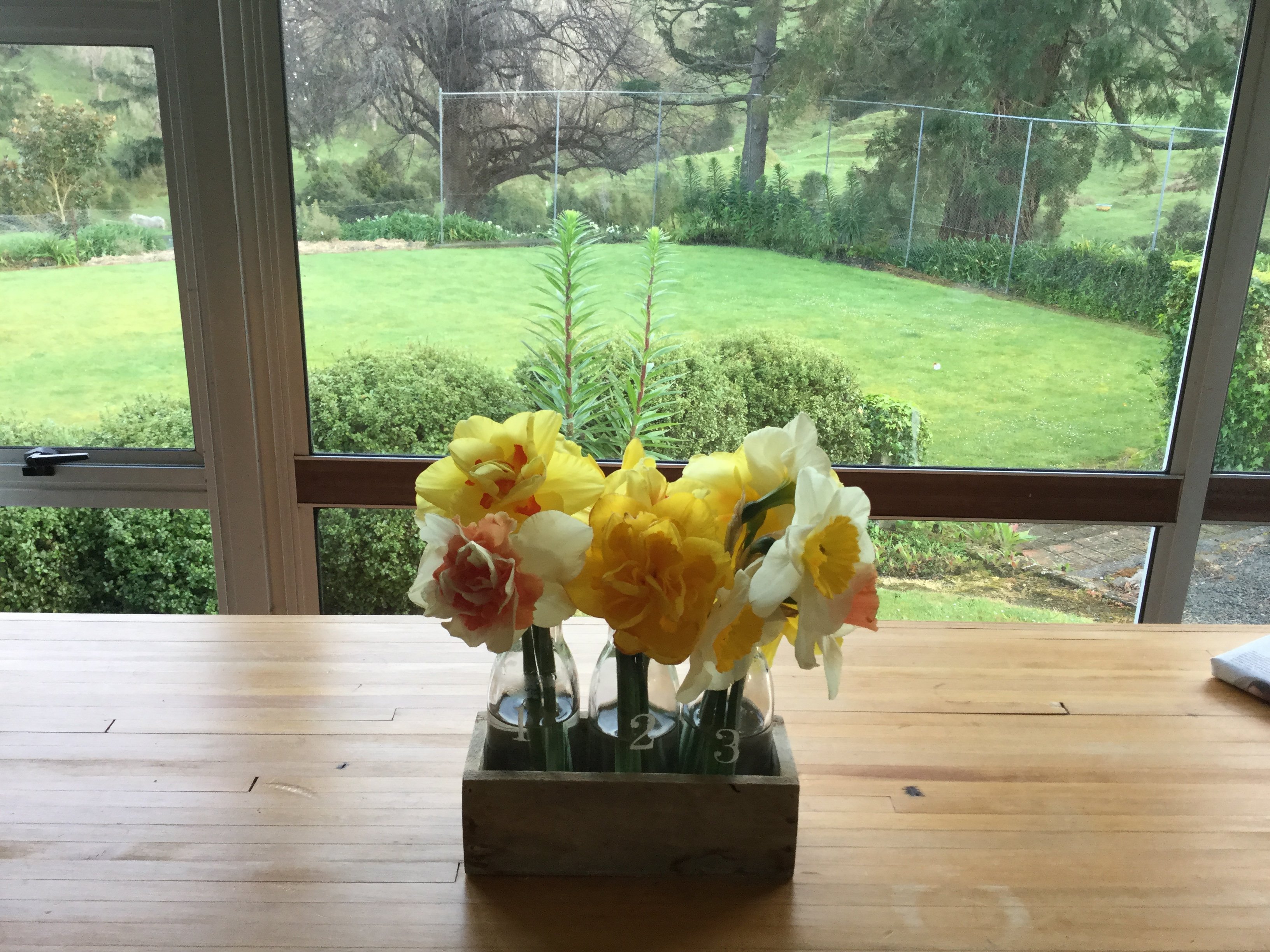 Rangitikei Farmstay-酒店景观