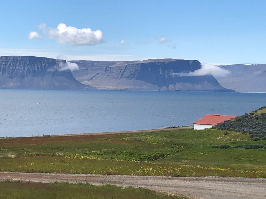 Wild Westfjords-伊萨菲厄泽必去景点