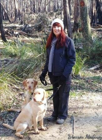 Wombat Trail-Trentham必去景点