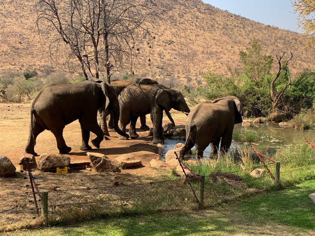 土瓜湾海滨小屋主图