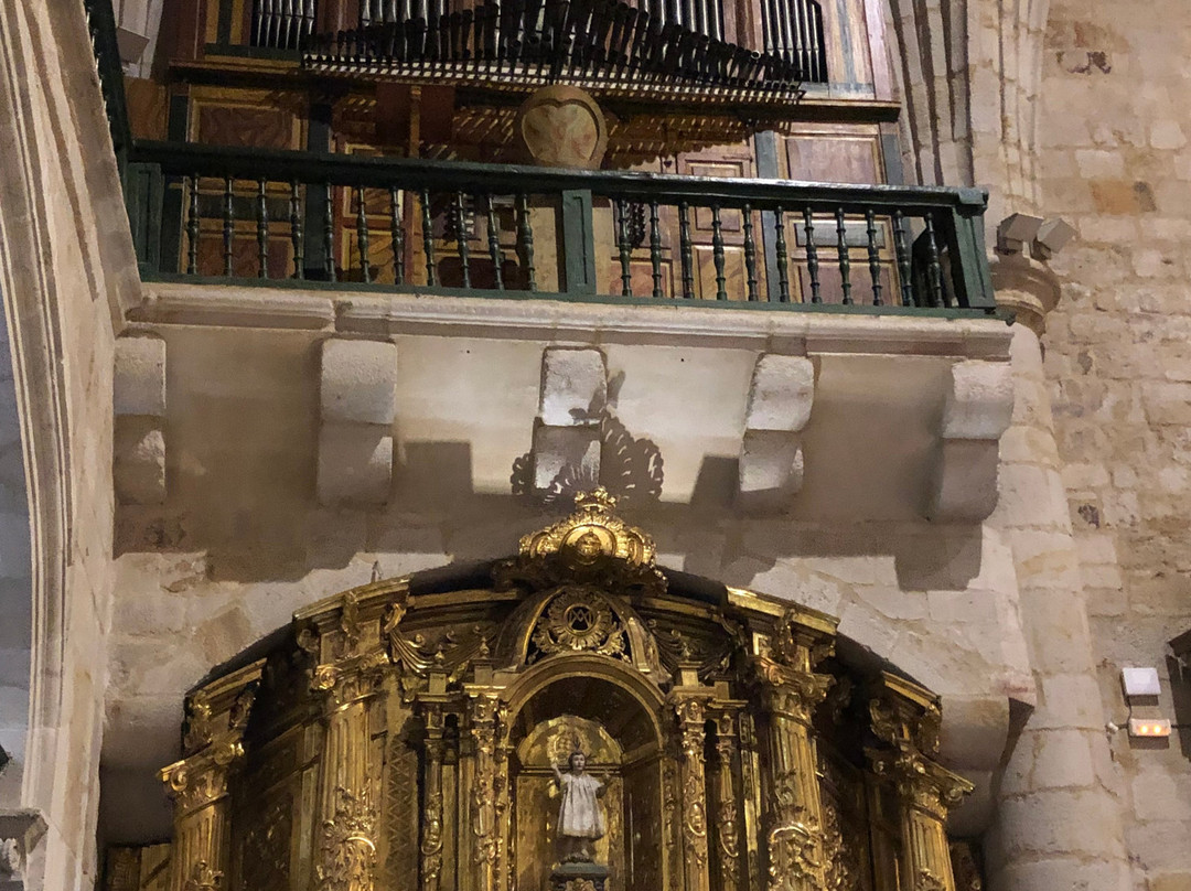 Iglesia de San Isidoro-萨莫拉必去景点