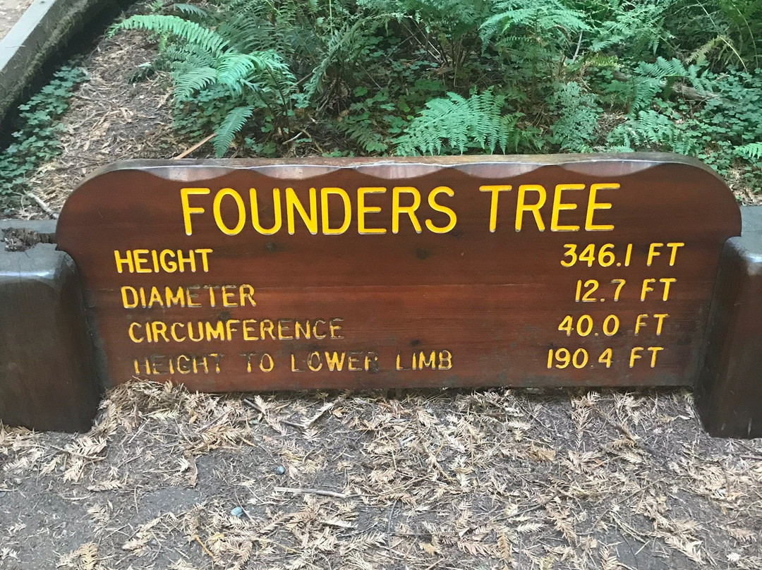 Founder's Grove Nature Loop景点图片