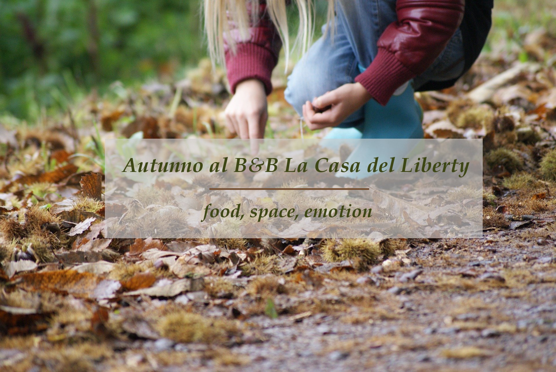La Casa del Liberty-官方