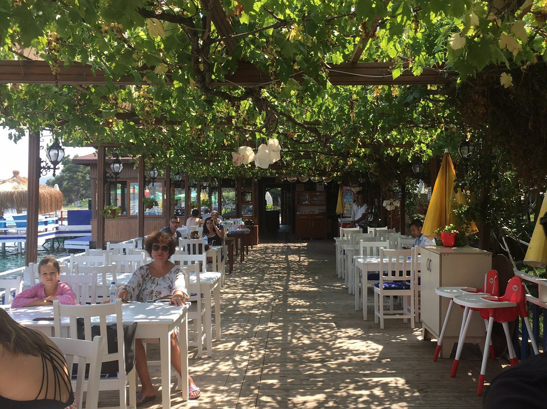 Bodrum Dolphin Park - Yunus Gösteri Merkezi景点图片