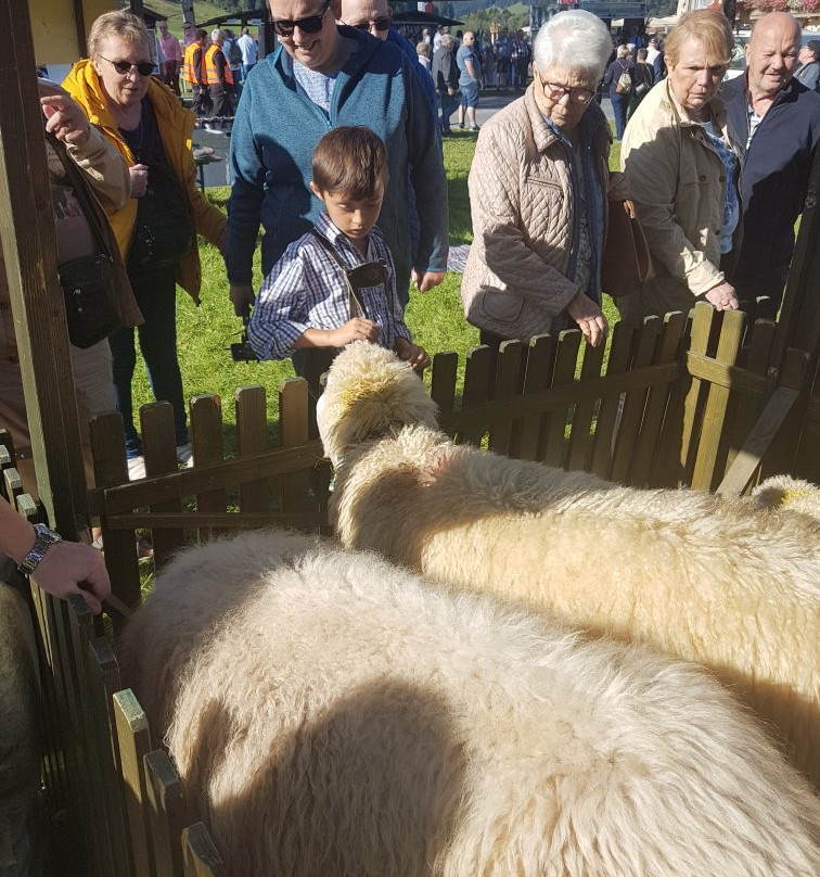 Gasthof Eberleiten主图