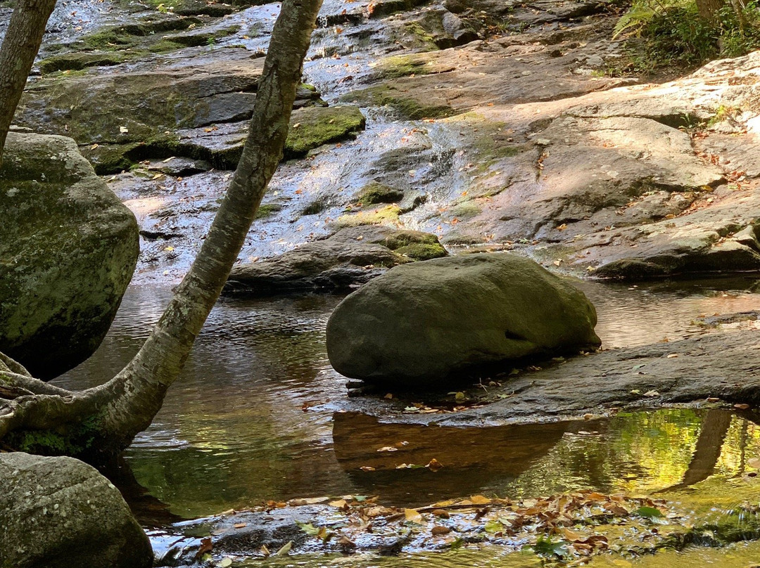 Chapel Brook-Ashfield必去景点