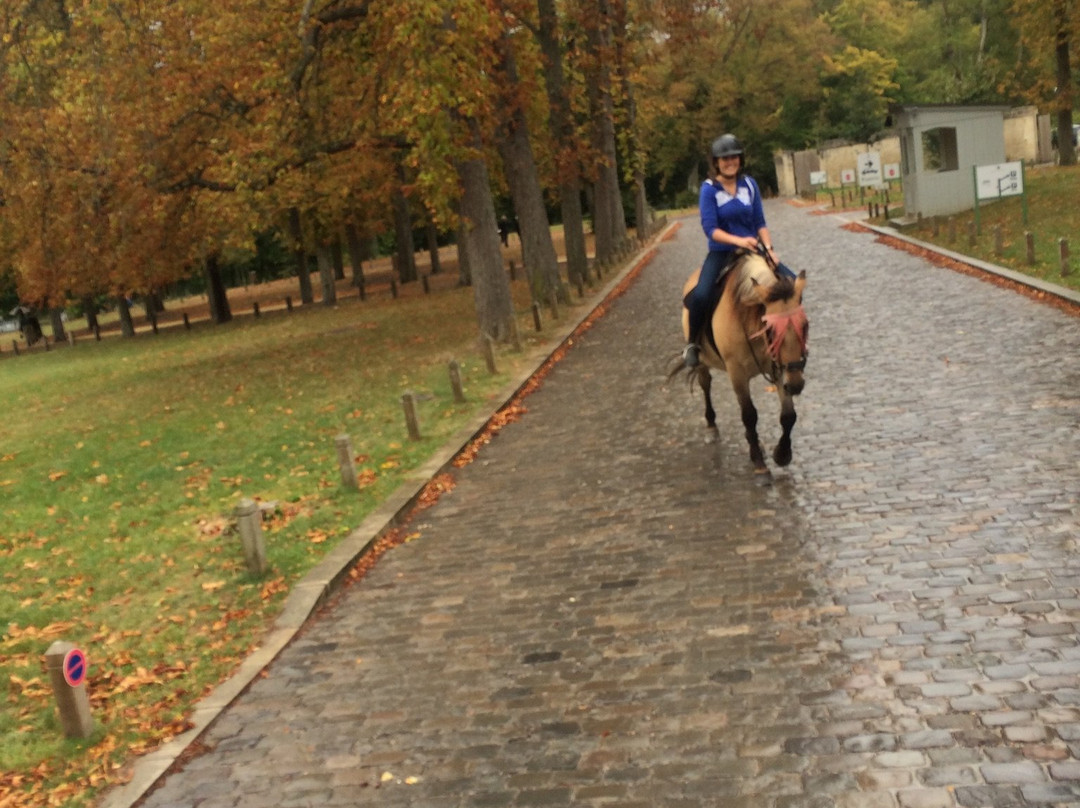 Espace Equestre Henson Chantilly景点图片