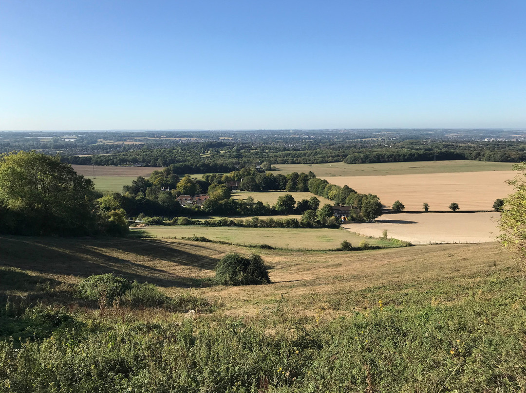 White Horse Wood Country Park景点图片