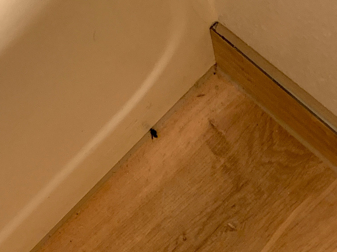 莫斯科速8酒店主图