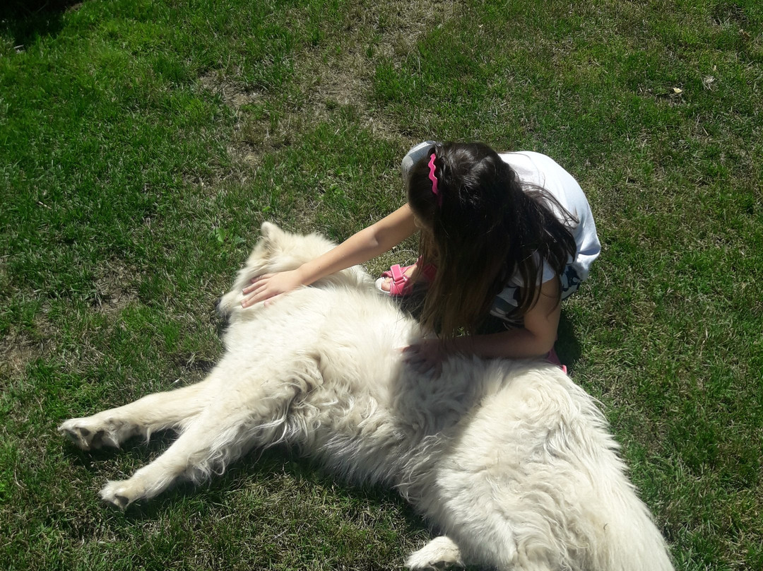 Garnì Villa Lory主图