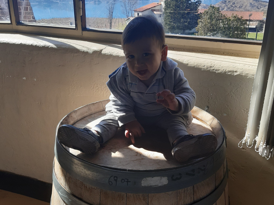 Gran Hotel Potrerillos主图