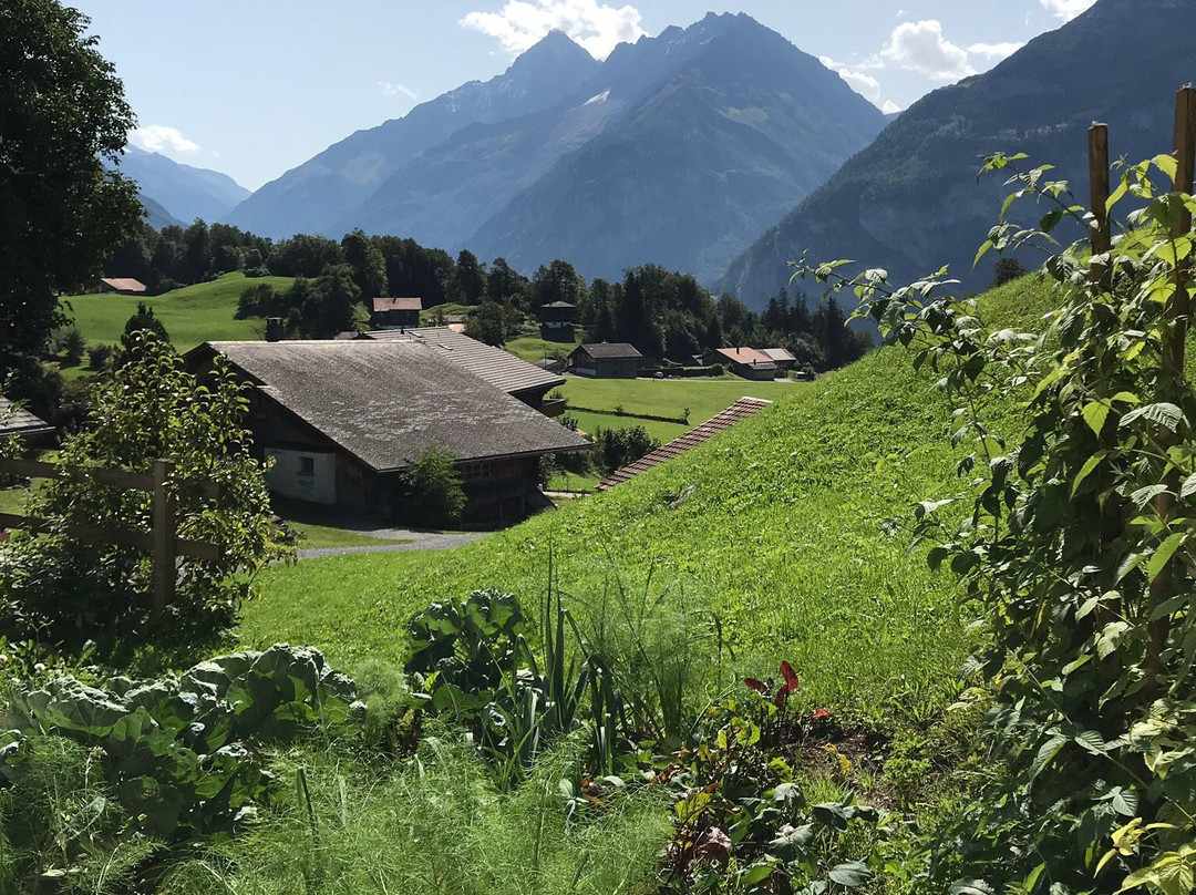 Pension Chalet Berkana主图