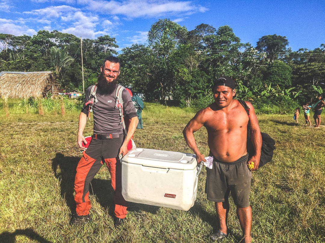 Otobo's Amazon Safari