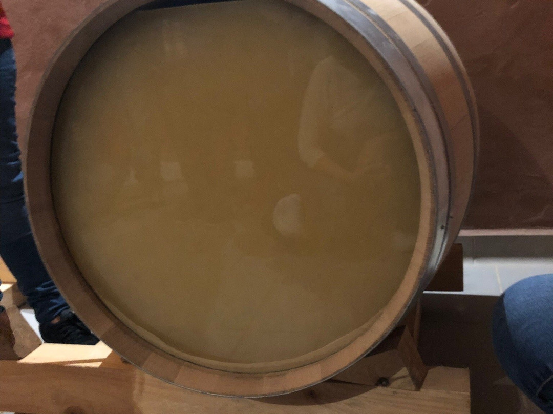 Bodegas Ramón Bilbao景点图片