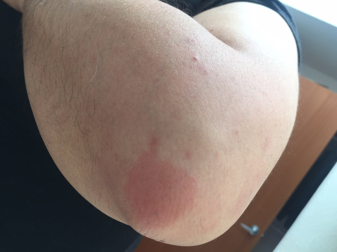 Holiday Inn & Suites Monterrey Apodaca Zona Airport By IHG主图