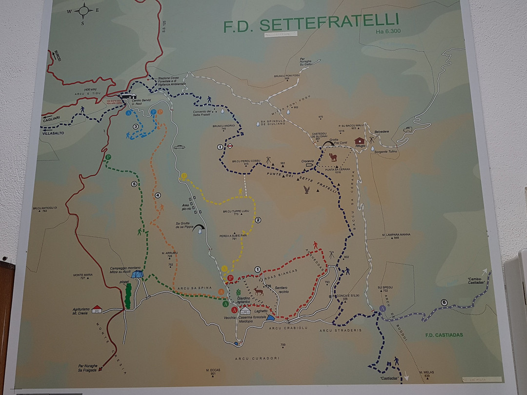 Foresta Demaniale dei Sette Fratelli-Sinnai必去景点